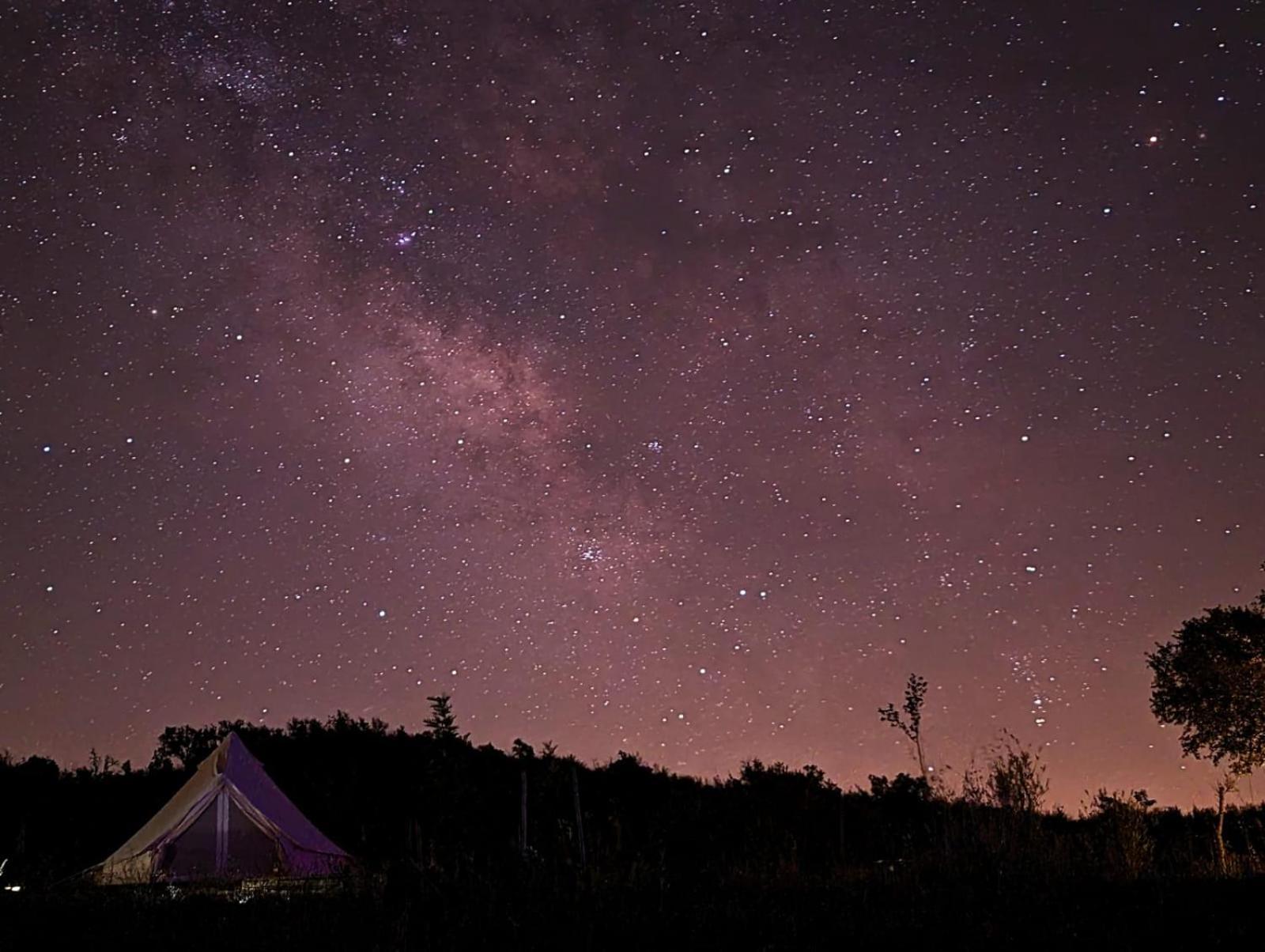 Lost Paradise - A Night Into The Alentejo! Luxury tent Saboia