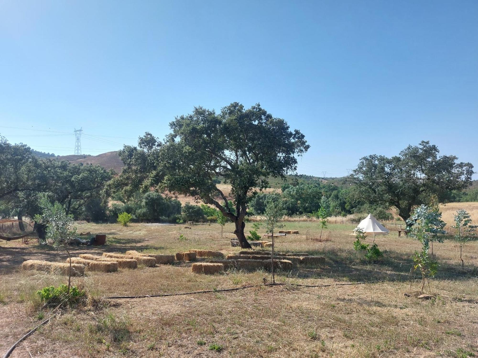 Lost Paradise - A Night Into The Alentejo! Luxury tent *